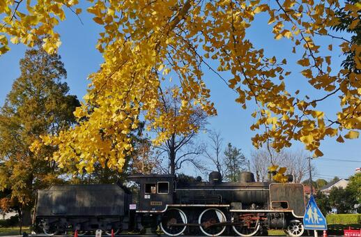 ＜千葉県＞萩原交通公園（茂原市） 萩原交通公園,萩原公園,蒸気機関車の写真素材