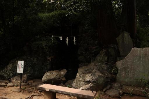 高尾山 登山道 高尾山 登山道の写真