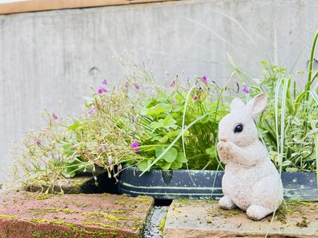 うさぎの置物がある小さな庭 うさぎの置物がある小さな庭 レンガ,煉瓦,花壇の写真素材