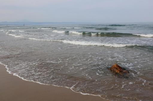 海 浜辺 海 浜辺の写真