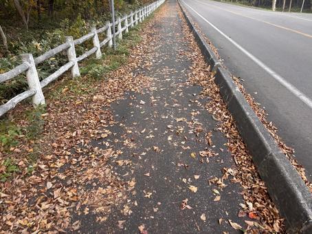 秋の訪れ20の写真