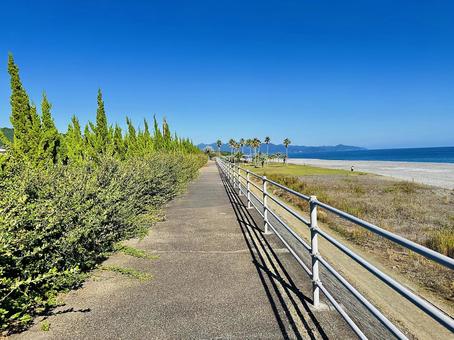 海岸　岸辺 海岸,沿岸,海の写真素材