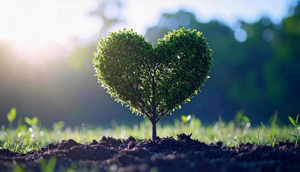 ハート型の植木の写真