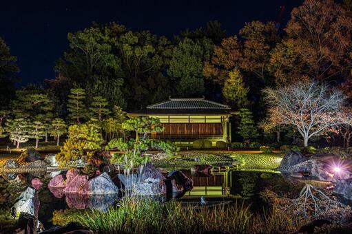 紅葉風景 紅葉風景,京都,二条城の写真素材