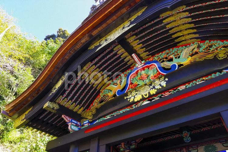 滋賀県竹生島にある、宝厳寺の唐門 宝厳寺,宝厳寺唐門,唐門の写真素材