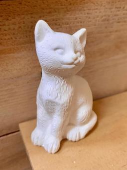 可愛い猫ちゃん 可愛い猫ちゃんの写真