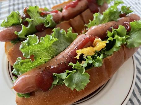 ホットドッグ ホットドッグ ホットドッグ,ランチ,パンの写真素材