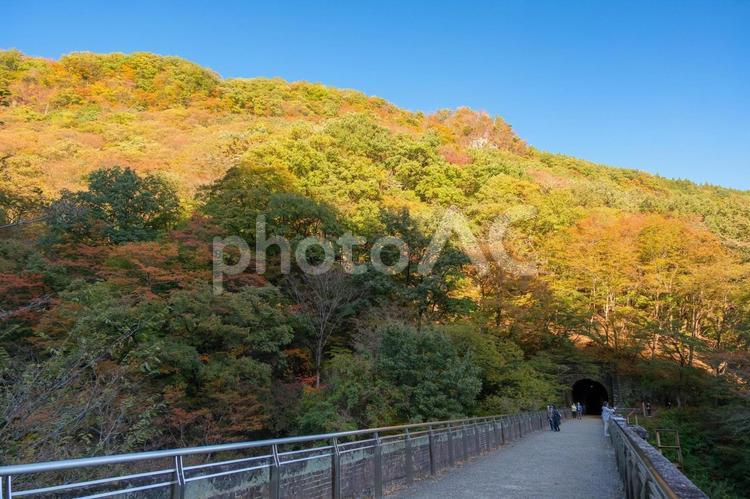 群馬県安中市 秋の碓氷峠、アプトの道 アプトの道,めがね橋,碓氷峠の写真素材