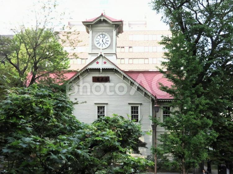 札幌時計台　 新緑,時計台,札幌の写真素材