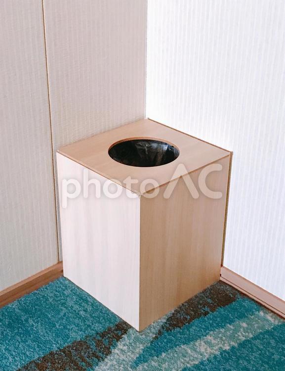 ゴミ箱 ゴミ箱,ゴミ,片隅の写真素材