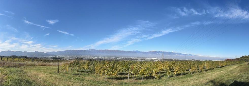 東雲の丘から見た北アルプス（パノラマ） 北アルプス,信州,長野県の写真素材