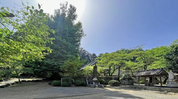 坂東33観音 10番 正法寺 境内の風景 正法寺,巌殿山,銀杏の写真素材