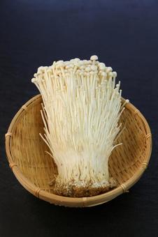 えのき えのき えのきたけ,えのき,きのこの写真素材