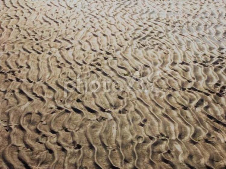 足跡ひとつない砂浜　 きれい,波,海の写真素材