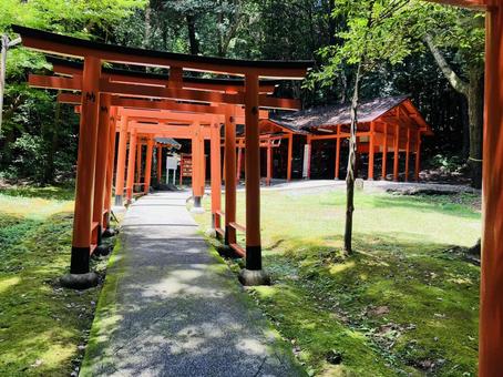 Photo, kashihara shrine, kashihara city, nara prefecture, a shrine, 
