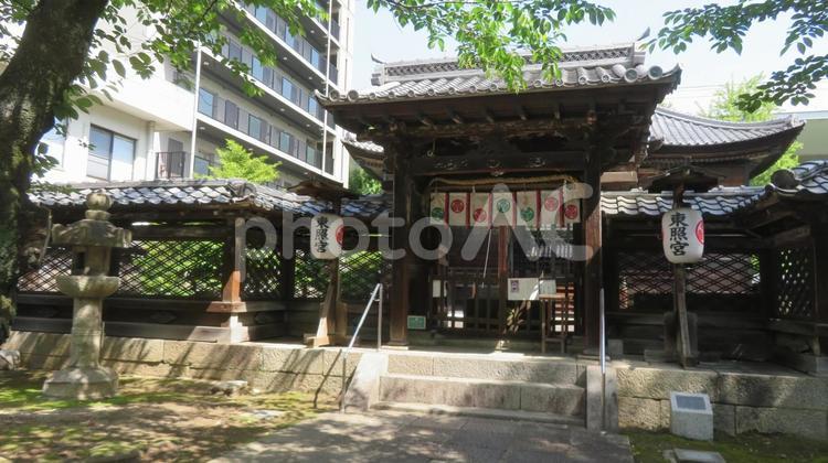 名古屋東照宮　唐門と透塀 名古屋東照宮,東照宮,徳川家康の写真素材