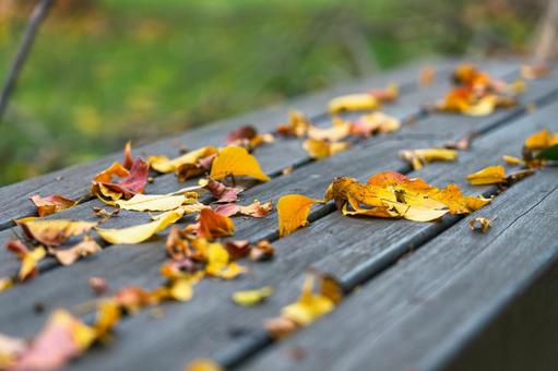 Autumn leaves piled up on a bench, JPG Autumn leaves piled up on a bench, JPG