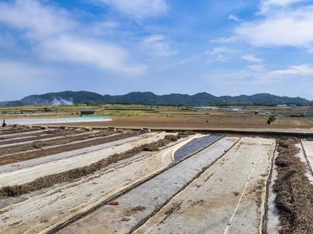 神奈川県三浦市南下浦町の畑・田園風景 神奈川県三浦市南下浦町の畑・田園風景の写真