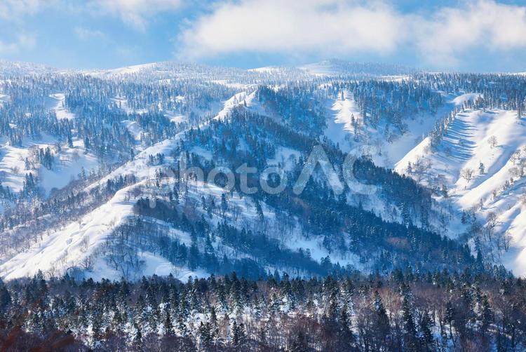 冠雪の八甲田山の樹氷 冠雪,冬山,雪山の写真素材