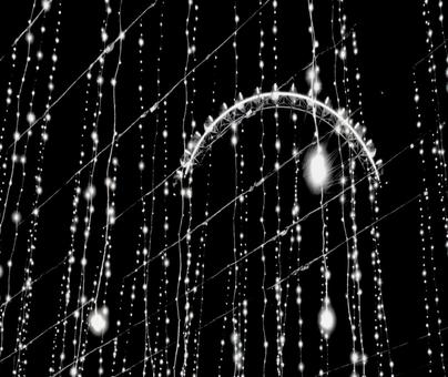 夜景 夜景の写真