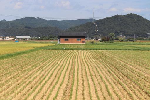 郷愁を誘う日本の原風景のような田園地帯 郷愁を誘う日本の原風景のような田園地帯 田んぼ,刈り入れ,収穫の写真素材