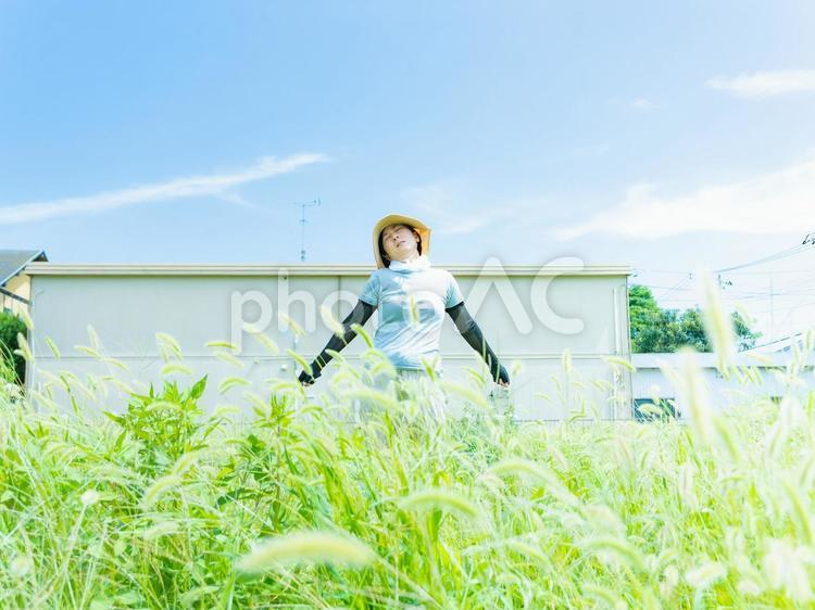 35：草むしりをする女性 草刈り,雑草,庭仕事の写真素材