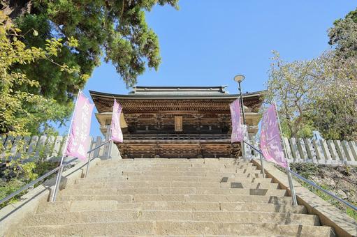 階段下から見上げる筑波山神社の隋神門 階段下から見上げる筑波山神社の隋神門 筑波山神社,筑波山神社隋神門,隋神門の写真素材