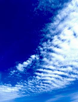 洗濯板みたいな雲 洗濯板みたいな雲の写真