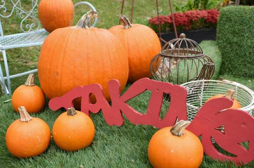 カボチャの写真