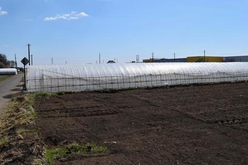 農業用ビニールハウス 茨城県 農業用ビニールハウス,農業用ハウス,農業ビニールハウスの写真素材