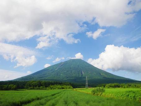 羊蹄山 羊蹄山,蝦夷富士,北海道の写真素材