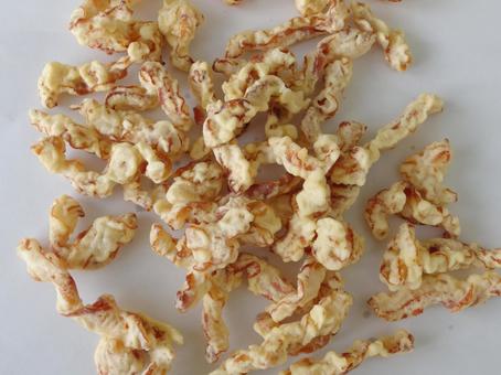 帆立貝ヒモ 天ぷら 帆立貝ヒモ,天ぷら,珍味の写真素材