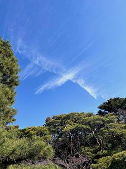 空と雲2 空と雲2 青空,空,雲の写真素材