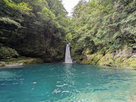 にこ淵(仁淀川) にこ淵(仁淀川)の写真