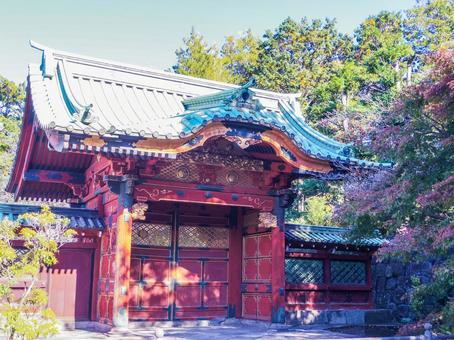 【東京都】台東区・寛永寺 【東京都】台東区・寛永寺 寛永寺,寺院,寺社仏閣の写真素材