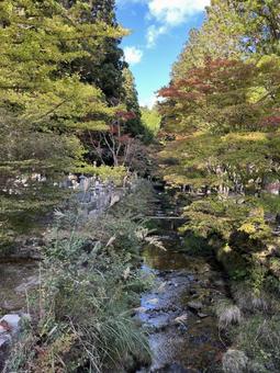 Forest, river and ancestors sleep tombstones ancestor graves river Moriaki Forest, river and ancestors sleep tombstones ancestor graves river Moriaki