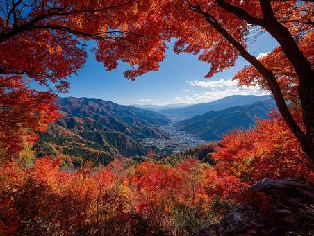紅葉に染まる渓谷 紅葉に染まる渓谷の写真