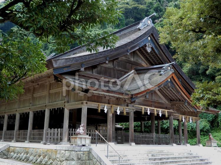 美保神社 美保神社,鳥居,島根の写真素材