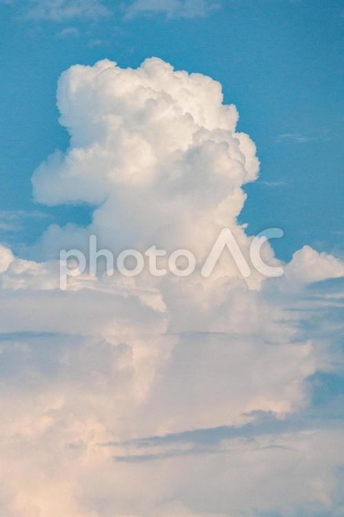 暑い夏の青空と白い雲 雲,空,風景の写真素材
