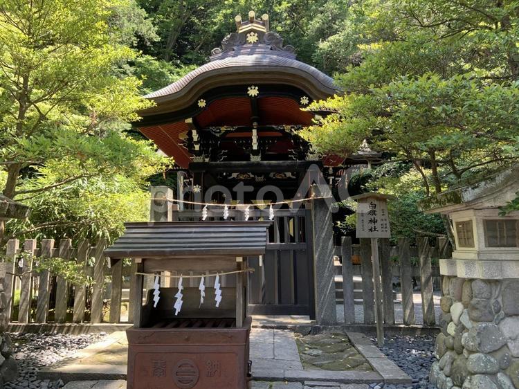 鶴岡八幡宮　白旗神社 風景,寺社仏閣,観光地の写真素材