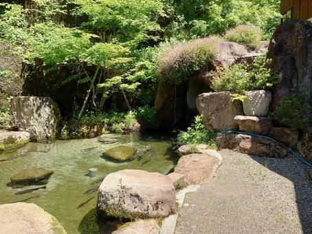 イワナとニジマスの池(飛騨大鍾乳洞) イワナとニジマスの池(飛騨大鍾乳洞) 岐阜県,飛騨,鍾乳洞の写真素材