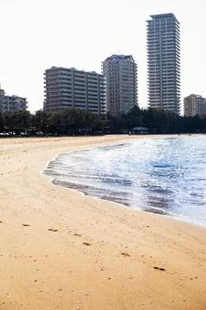 海辺と砂浜 海辺と砂浜の写真