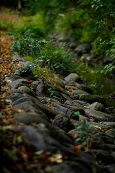 小川横の岩 小川横の岩 自然美,渓流,森林浴の写真素材
