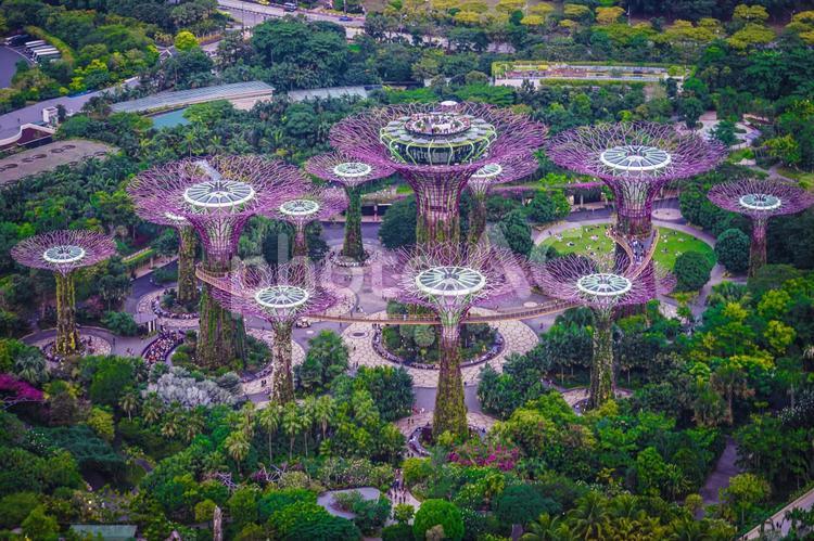 マリーナベイサンズから見えるガーデンバイザベイ シンガポール,マリーナ・ベイ・サンズ,高層ビルの写真素材