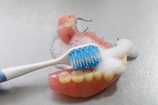 部分入れ歯の手入れ_03 部分入れ歯,入れ歯,歯ブラシの写真素材