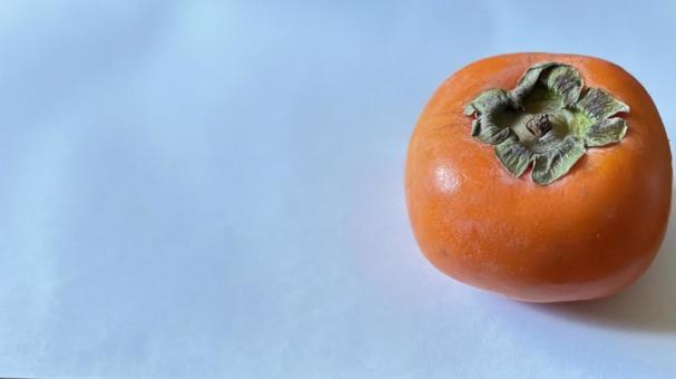 柿　コピースペース 柿,秋,果物の写真素材