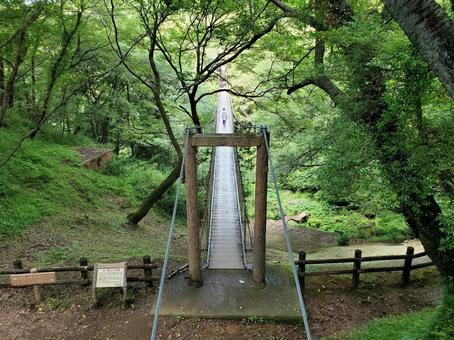 駿河平自然公園01 駿河平自然公園,吊り橋,長泉町の写真素材