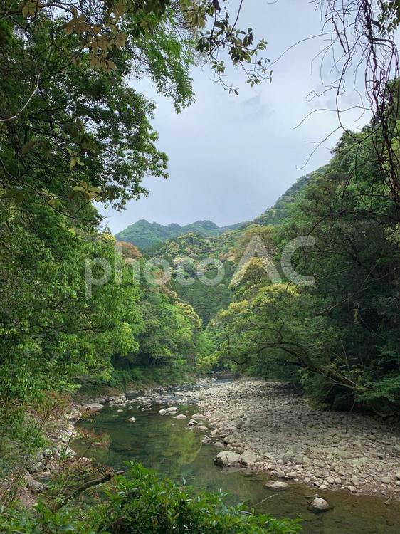 登山にて空と川と森の緑 空,背景,背景素材の写真素材