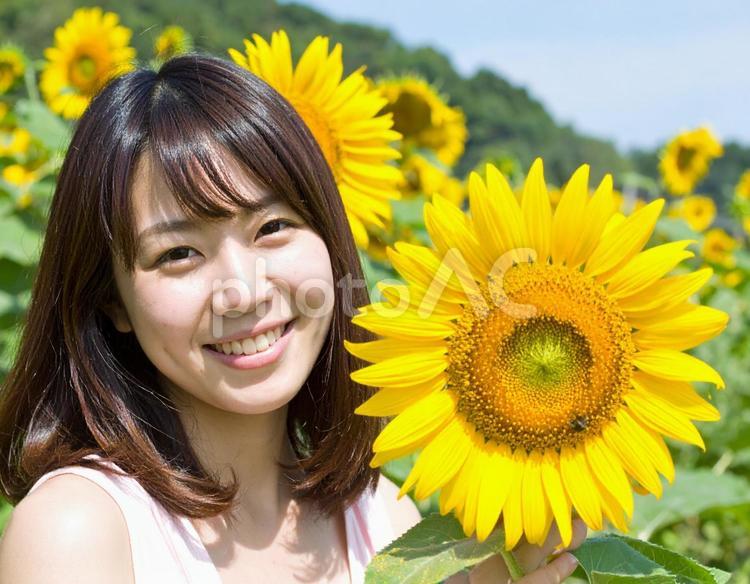 ひまわりと笑顔の女性 ひまわり,女性,夏の写真素材