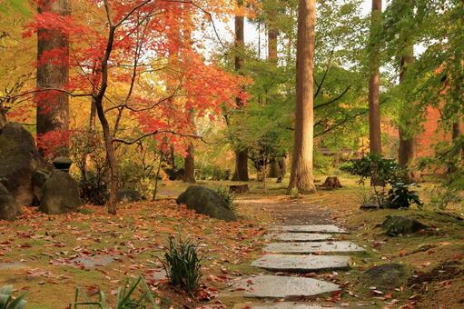 最勝寺の秋の庭園 最勝寺,紅葉,もみじの写真素材
